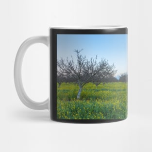 Mustard Field Mug